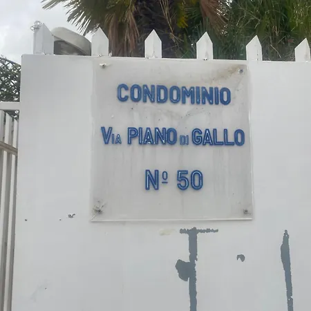 Reef Mondello