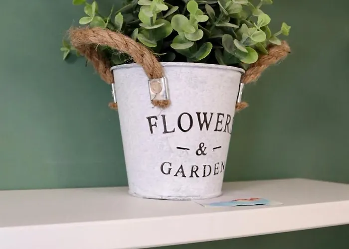 Reef Mondello * Palermo